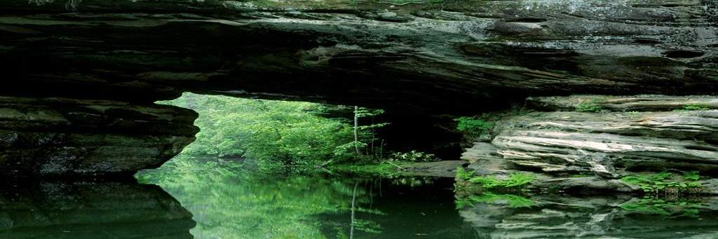 isowfritcheck11's profile banner image