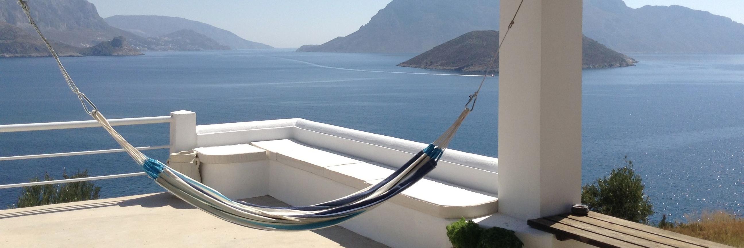 pamela campaner banner