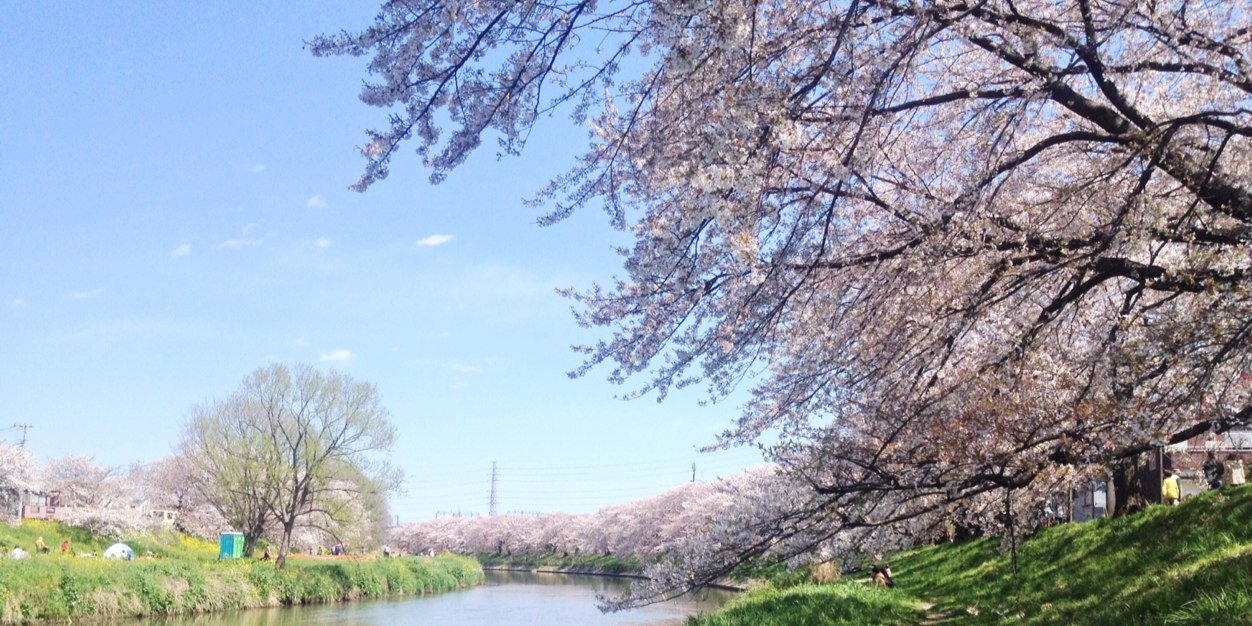 yousun01's profile banner image