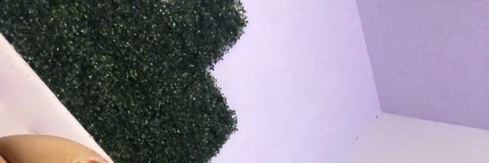 SrPijudo's profile banner image