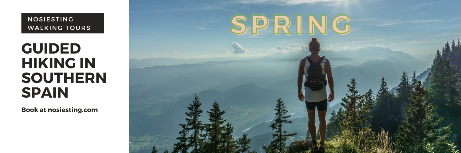 NoSiesting's profile banner image