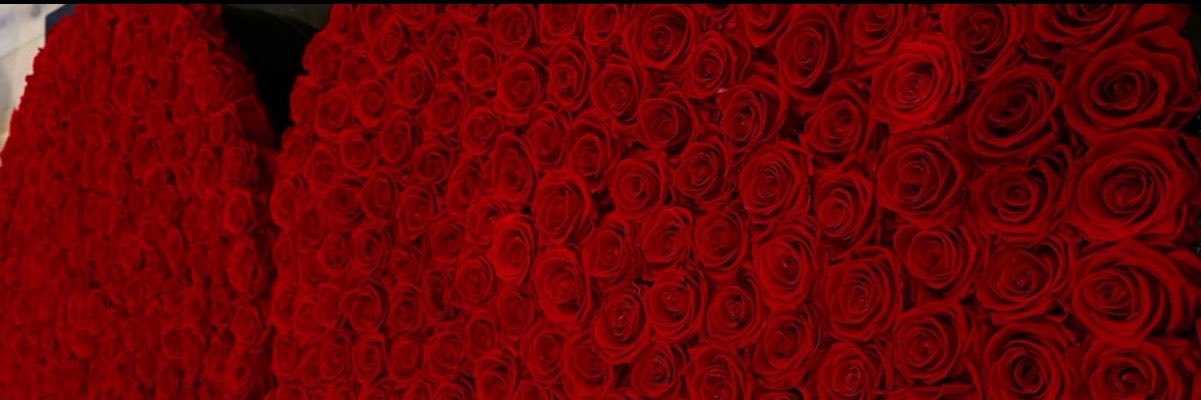 Saafiee__'s profile banner image