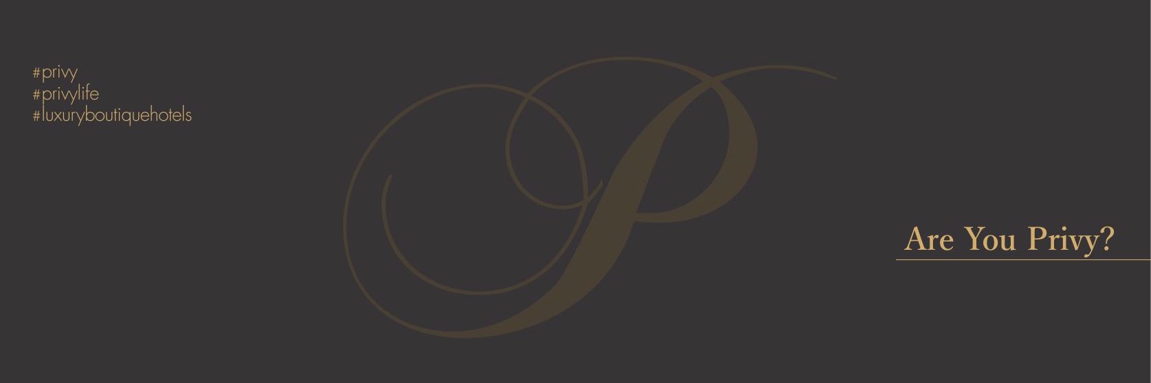 Privy_Hotels's profile banner image