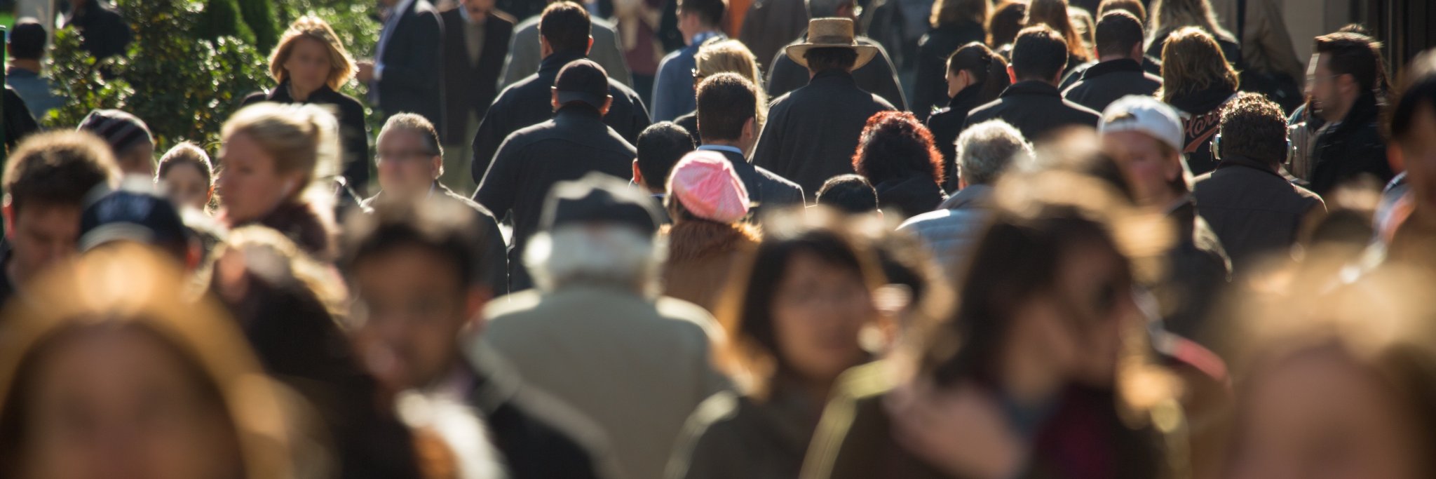 You. Smart. Thing. banner