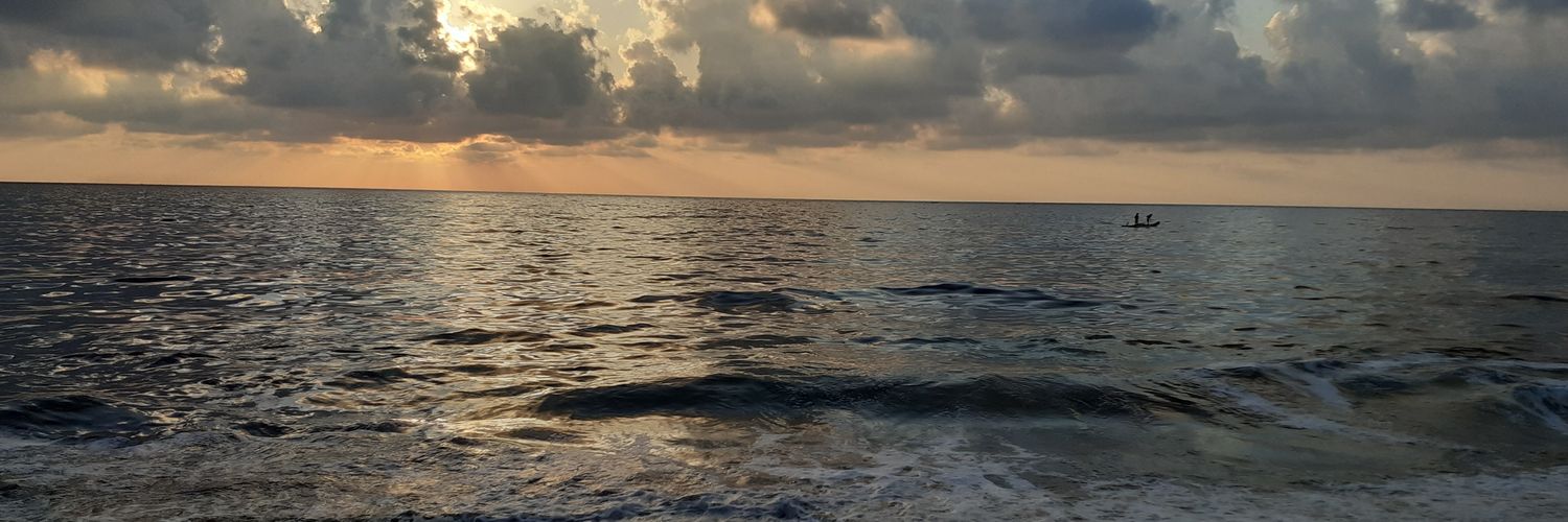 LS_twitz's profile banner image