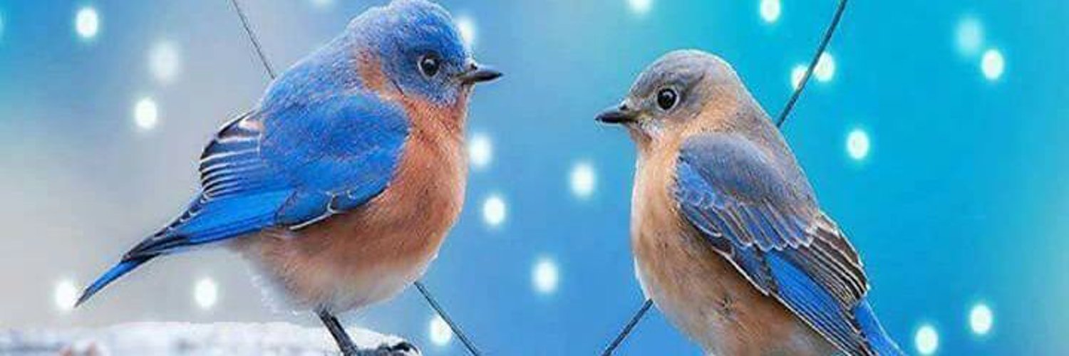 Maur_Suraj's profile banner image