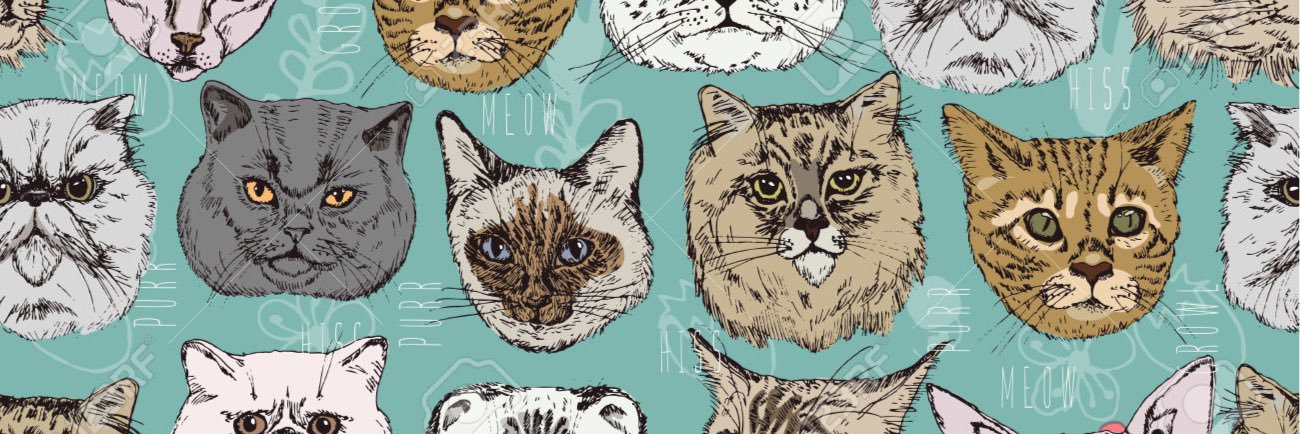JunglePersian's profile banner image