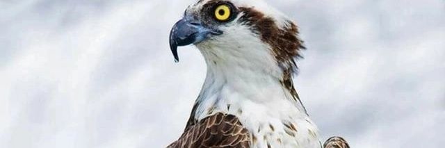 umer2345's profile banner image