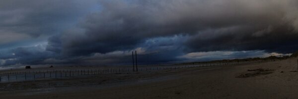 Merlane Profile Banner