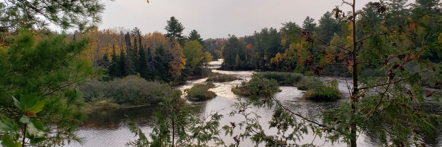 Stephanie Capps banner