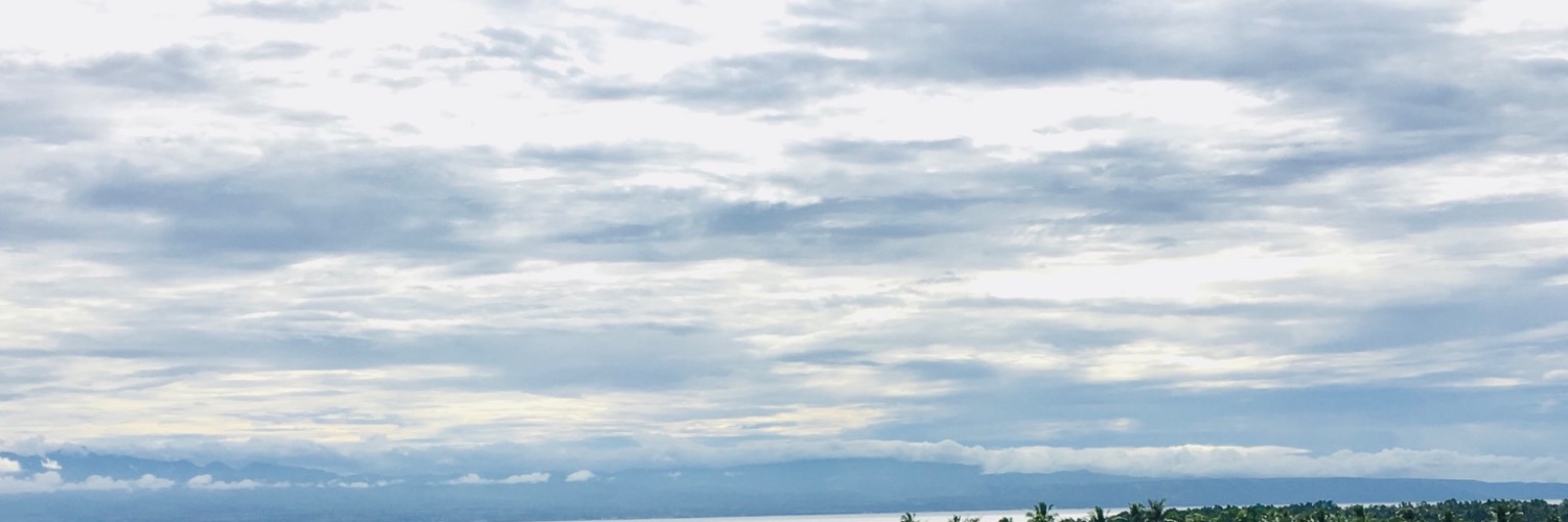 pyapyapia's profile banner image
