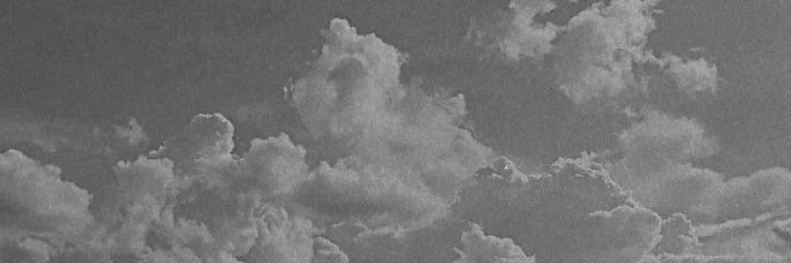 Hominikalee's profile banner image