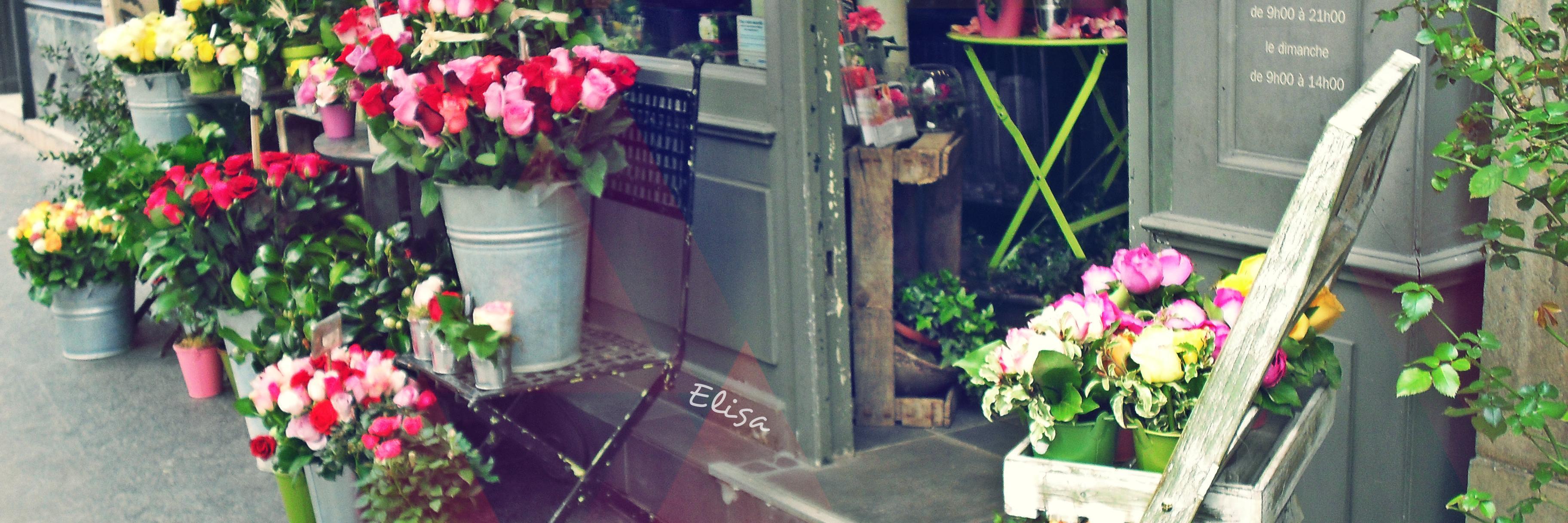 Elipirro's profile banner image