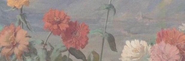 vinicea66's profile banner image