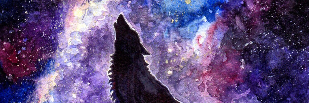 Dashka2000Max's profile banner image
