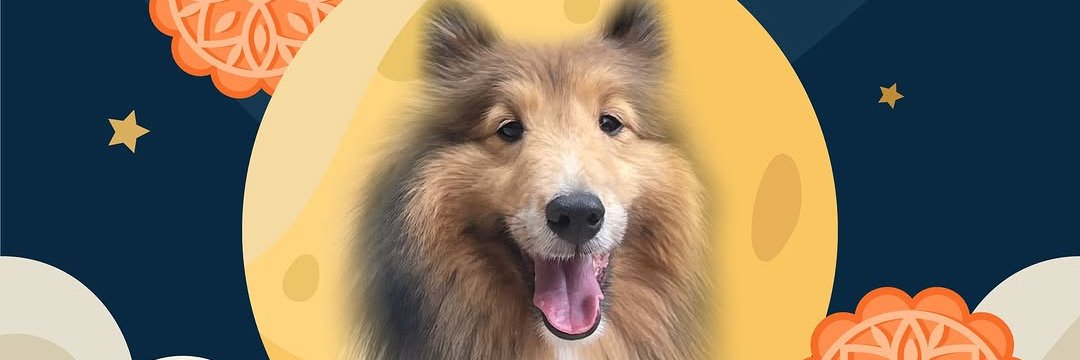 chibi16suke's profile banner image