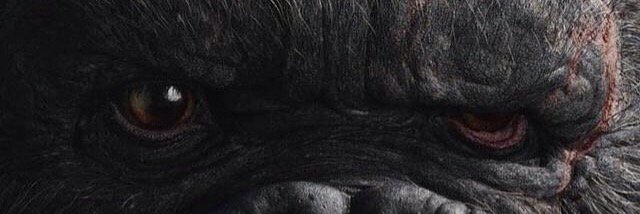 Duop Reath banner
