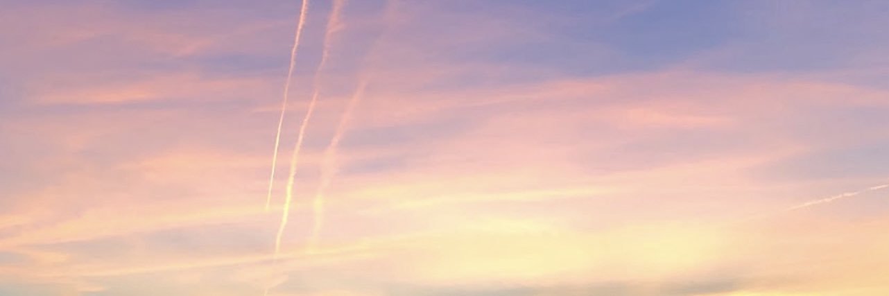 anne_r221's profile banner image