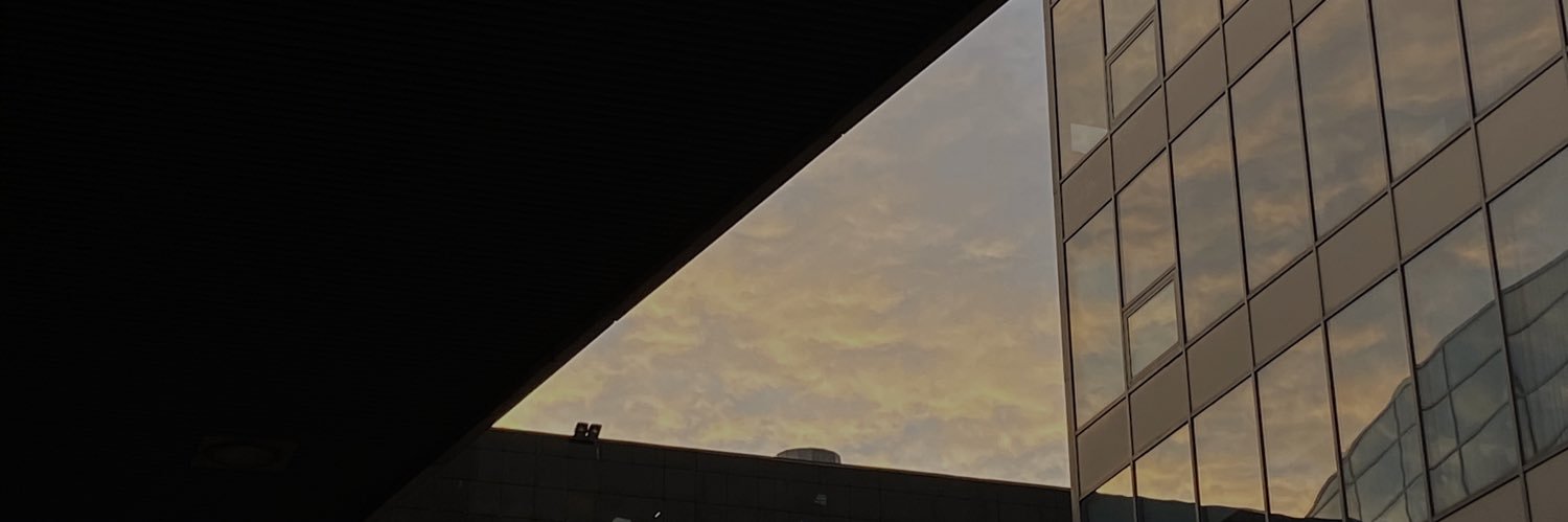 wnbrds's profile banner image