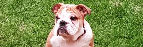 _R_o_o_ Profile Banner