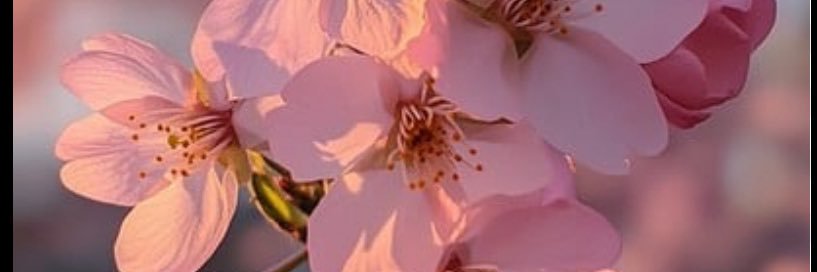 NWS83's profile banner image