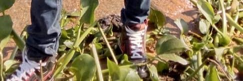 easymosey4's profile banner image