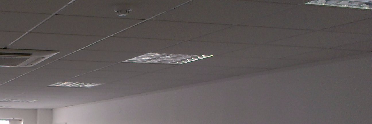 BerryBeta's profile banner image