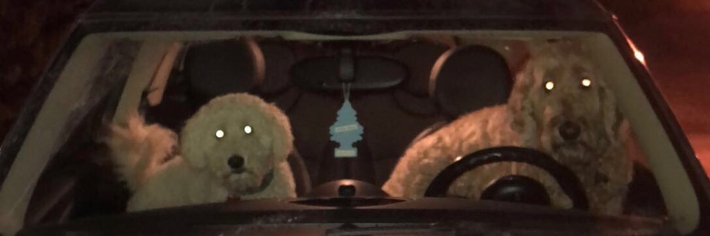noah_rask's profile banner image