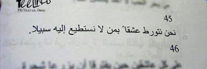 basmasaber24's profile banner image