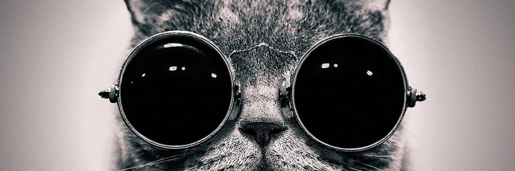 faydalibilgi_'s profile banner image