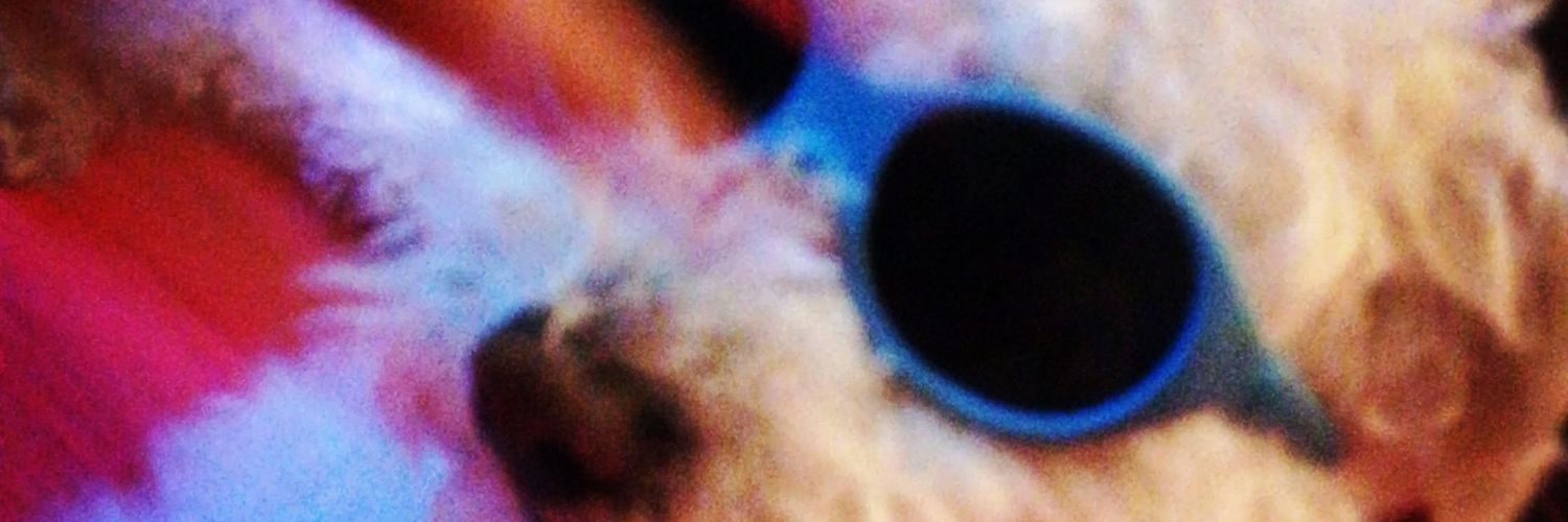 diego_collado77's profile banner image