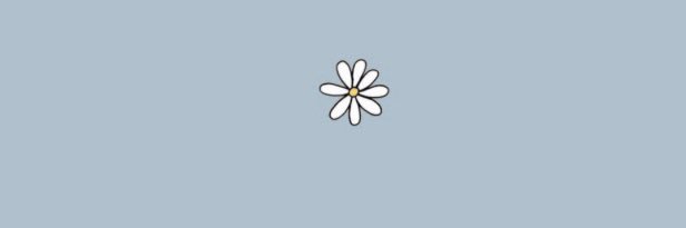 hayleyfulton1's profile banner image