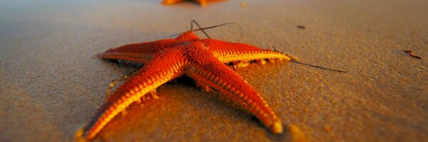 MarkWarren3 Profile Banner