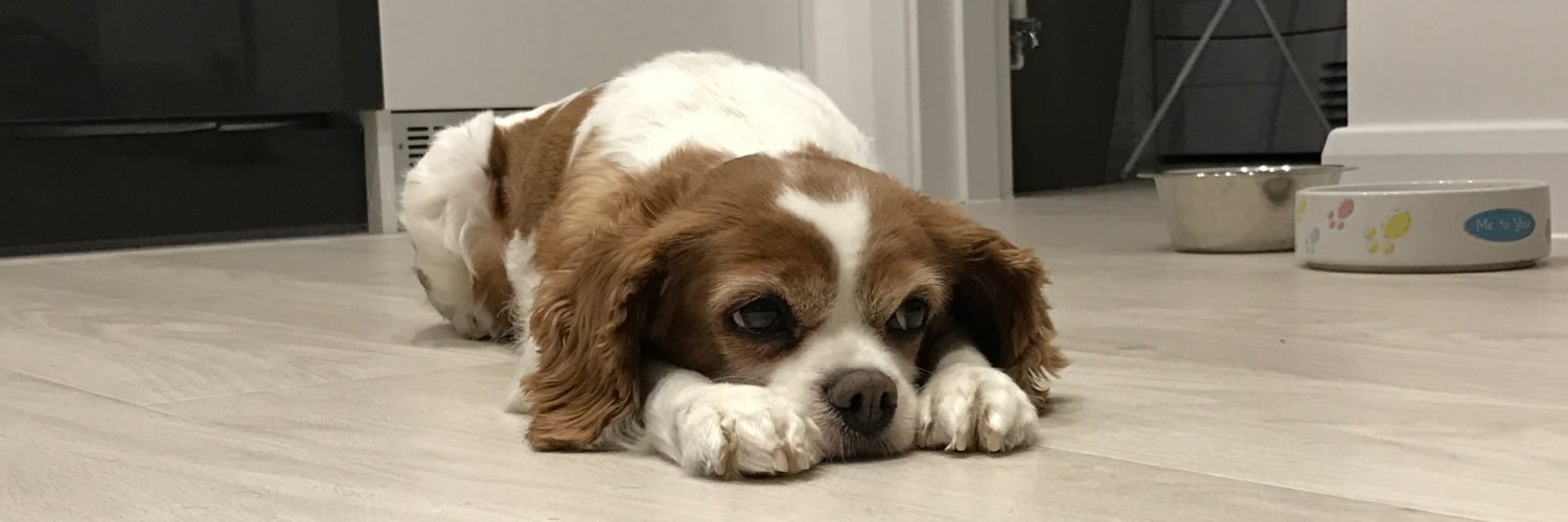 Liam Campbell banner