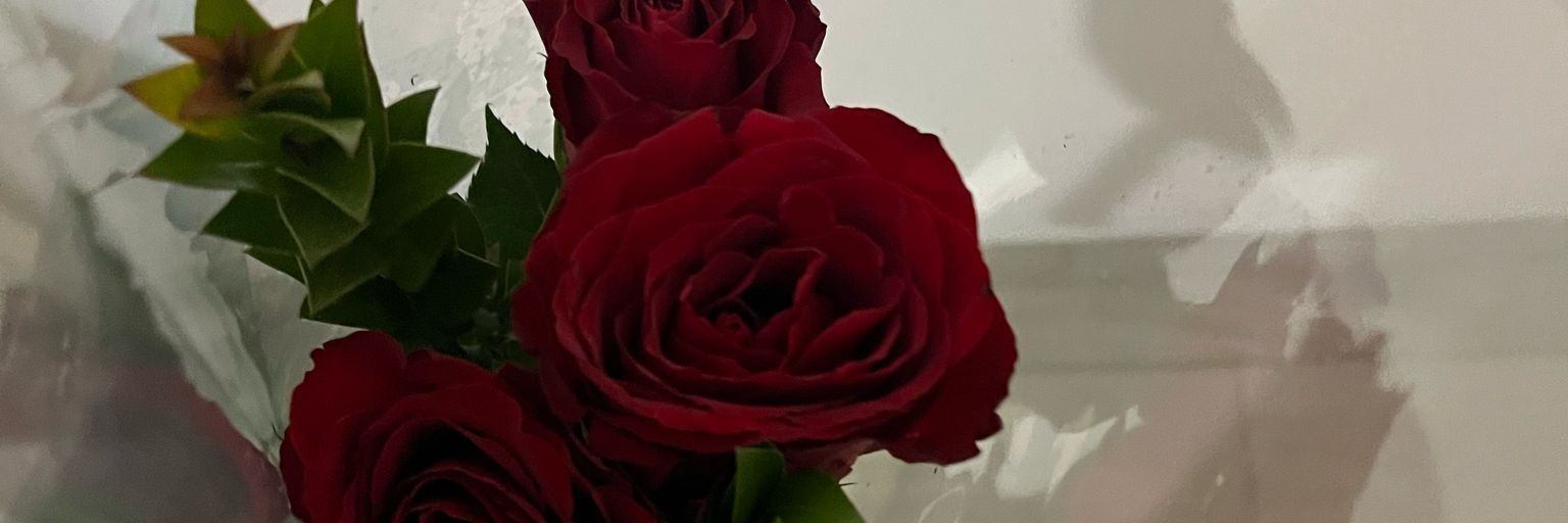 mavaivia1's profile banner image