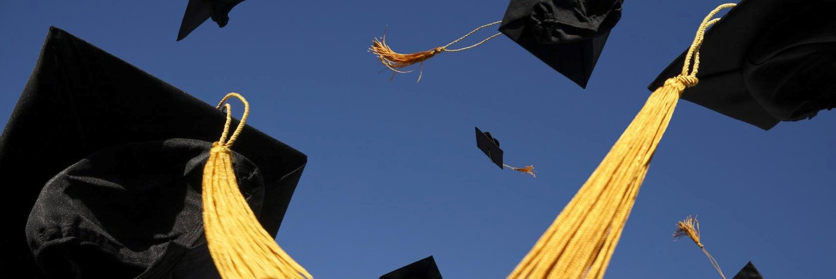 LiucAlumni's profile banner image