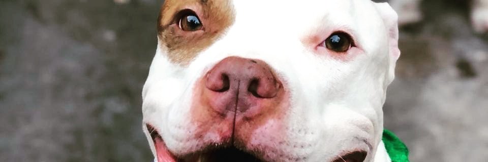 caiofgarcia's profile banner image