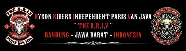 THE BRIV banner