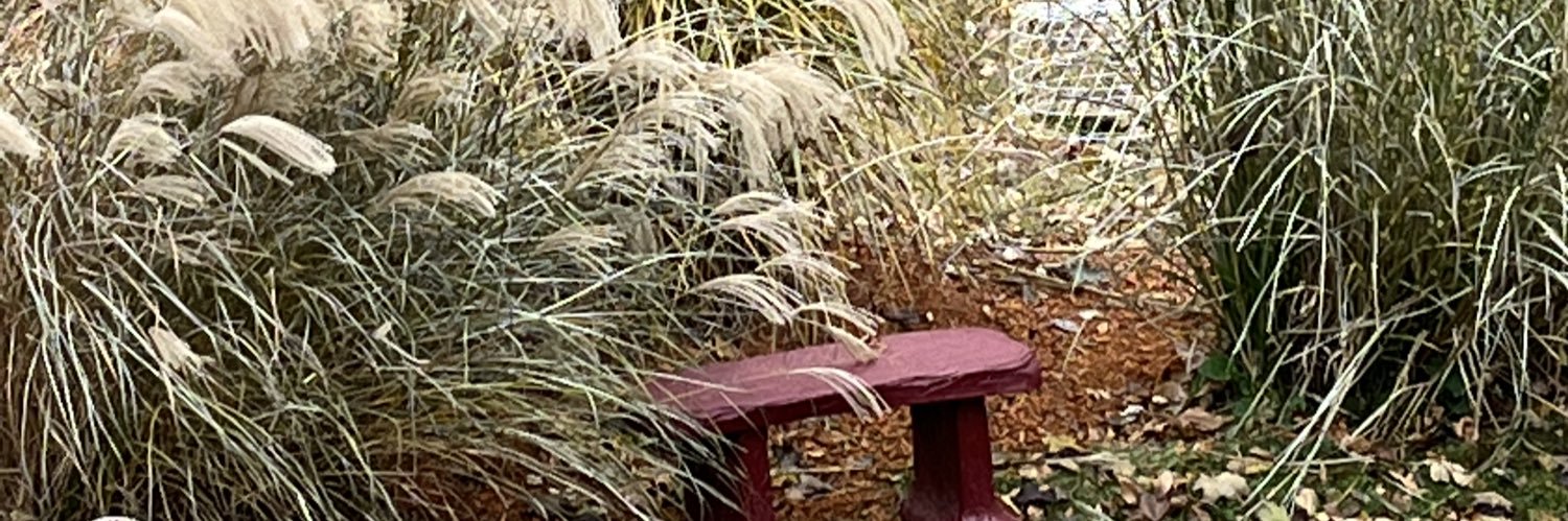 linda abitz banner