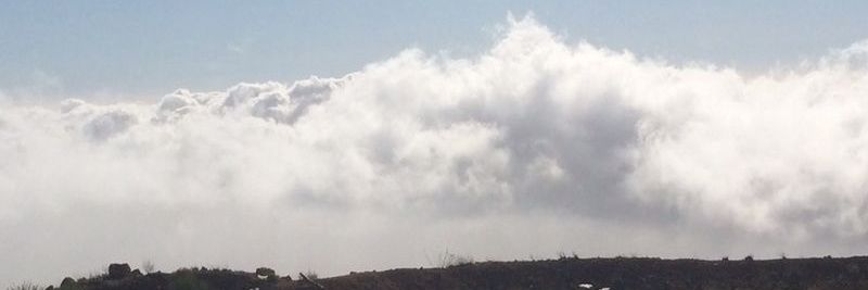 bhangoni 𓇗 banner