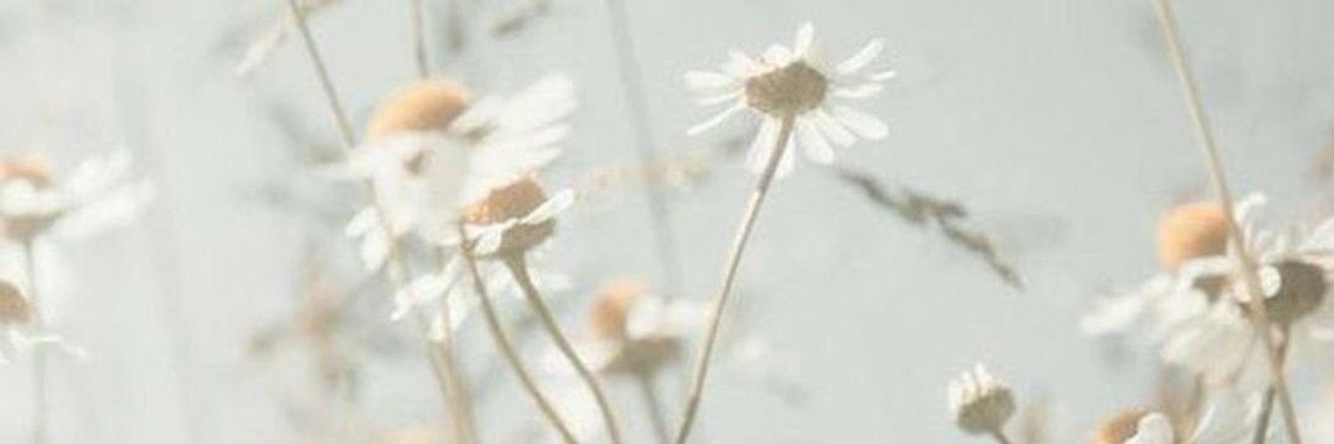 raashimodi74's profile banner image