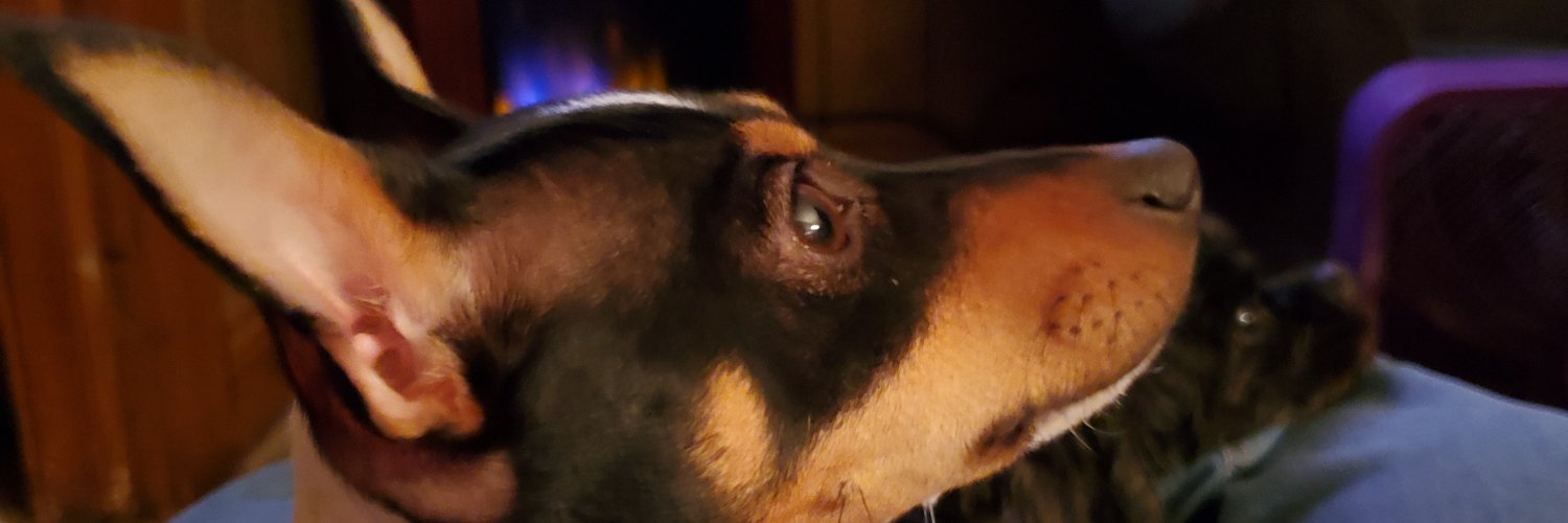 pagehardwick13's profile banner image