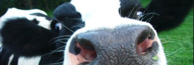 mosiondzd's profile banner image