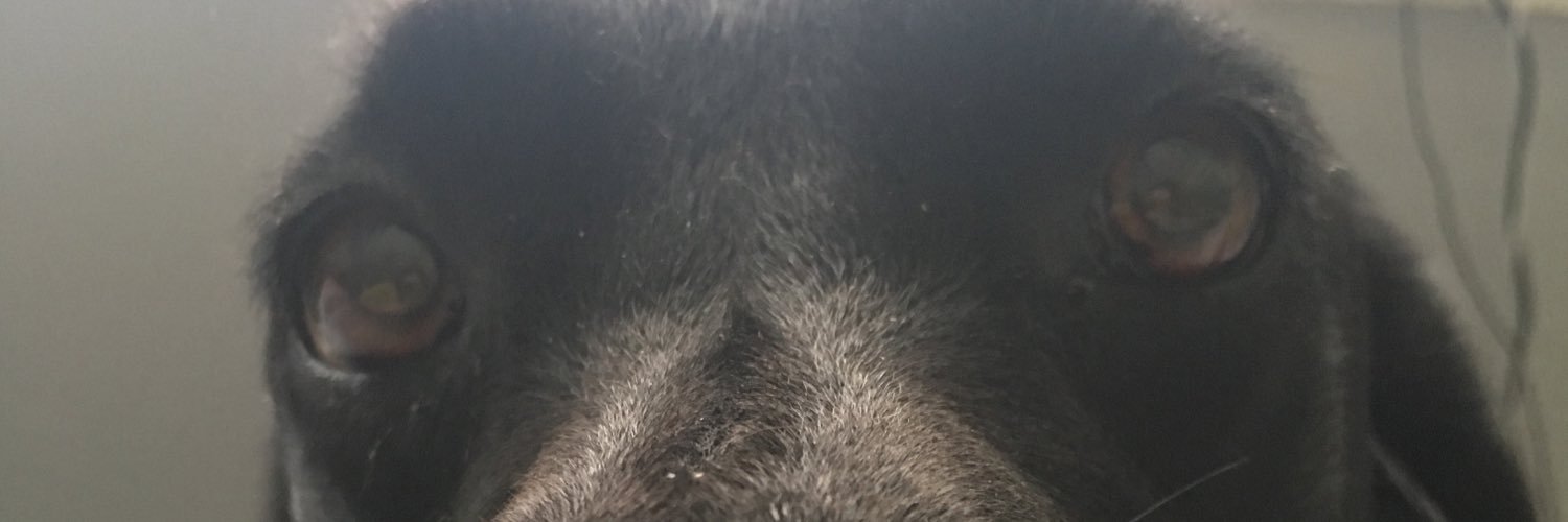 punkjug's profile banner image