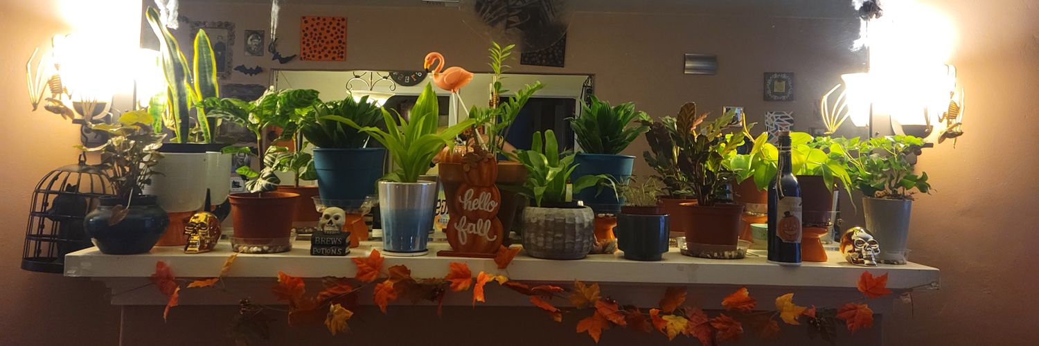 missashleeeeee's profile banner image