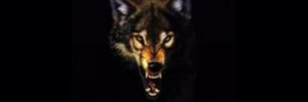 aboramy111981's profile banner image