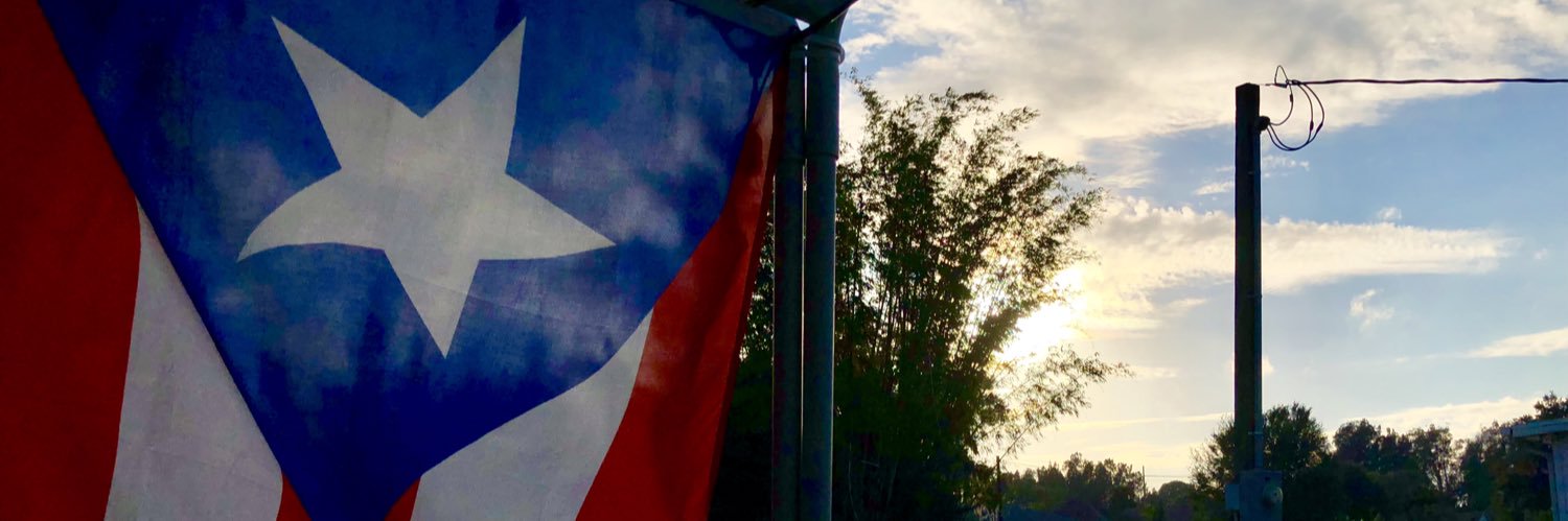 William S. Vélez banner