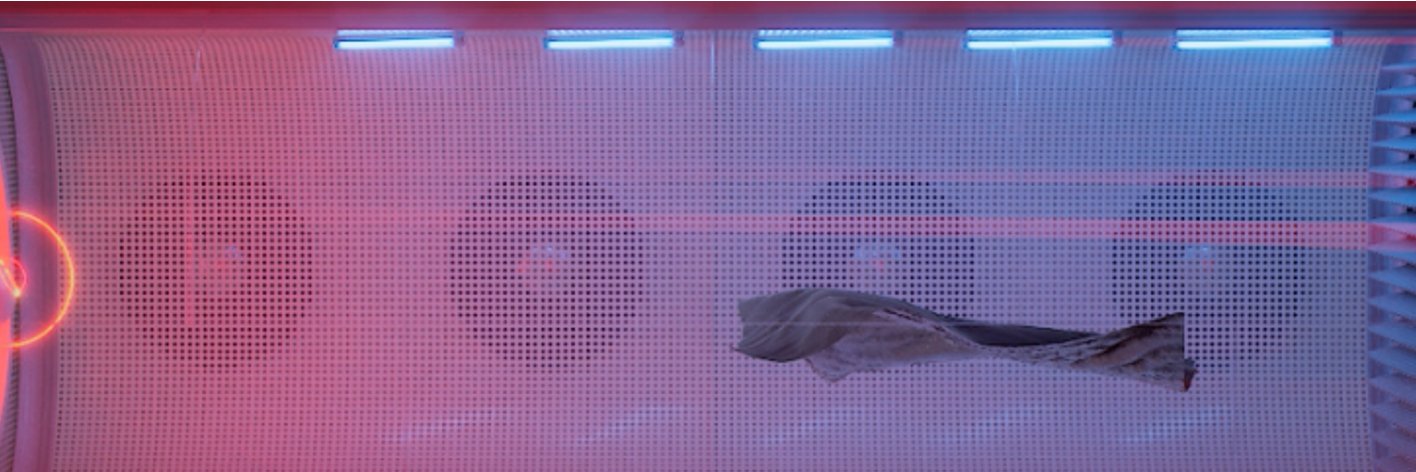 Arthur Menard de Calenge's banner