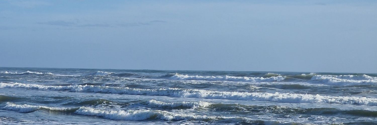 Ruxi__'s profile banner image