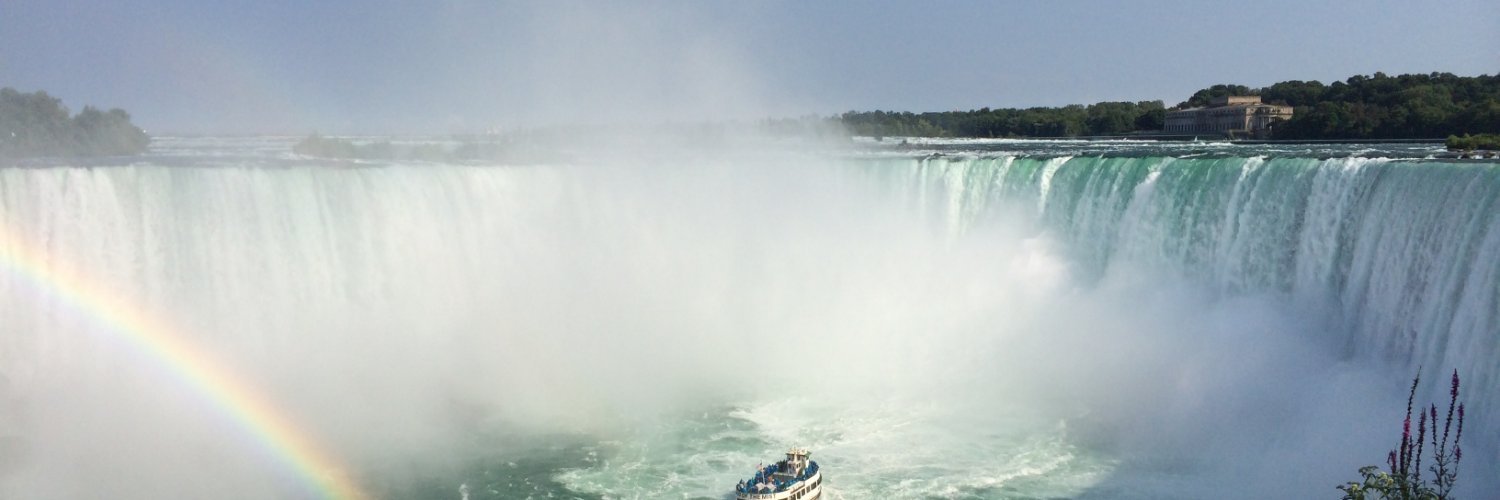 Sibel Sebüktekin banner